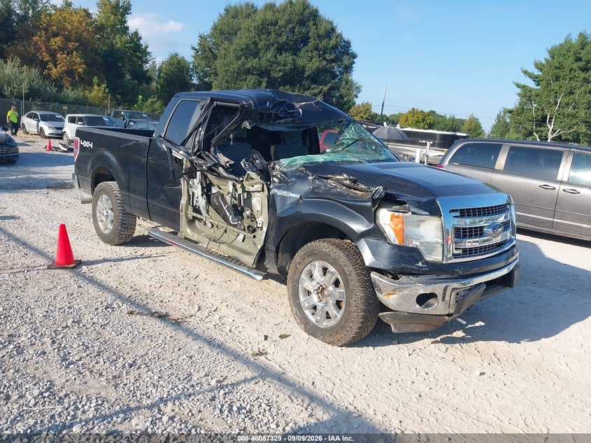 2013 FORD F-150 XLT | 1FTFX1EF9DFB64231 | UPCARS