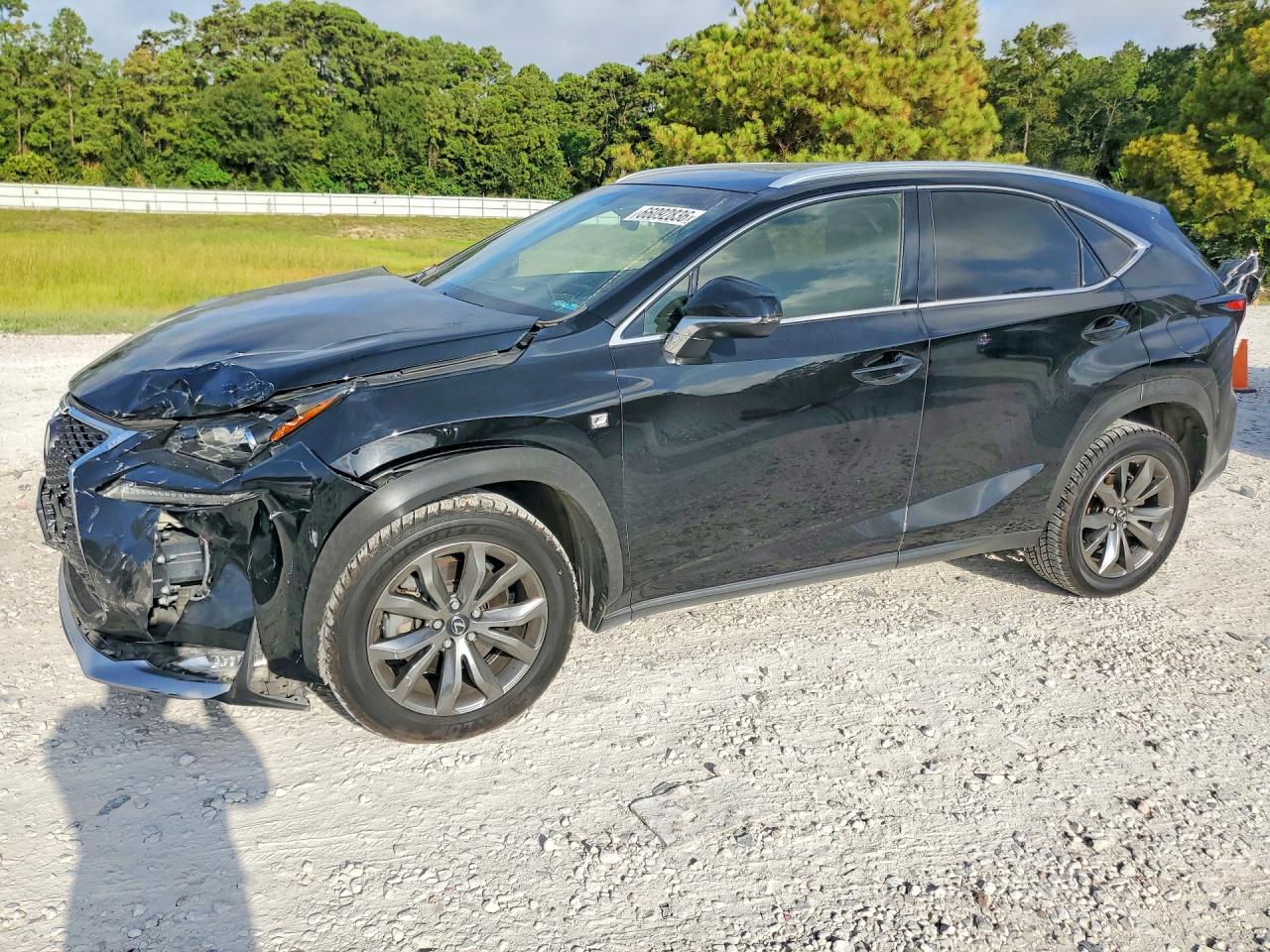 2016 LEXUS NX F SPORT | JTJYARBZXG2026391 | UPCARS