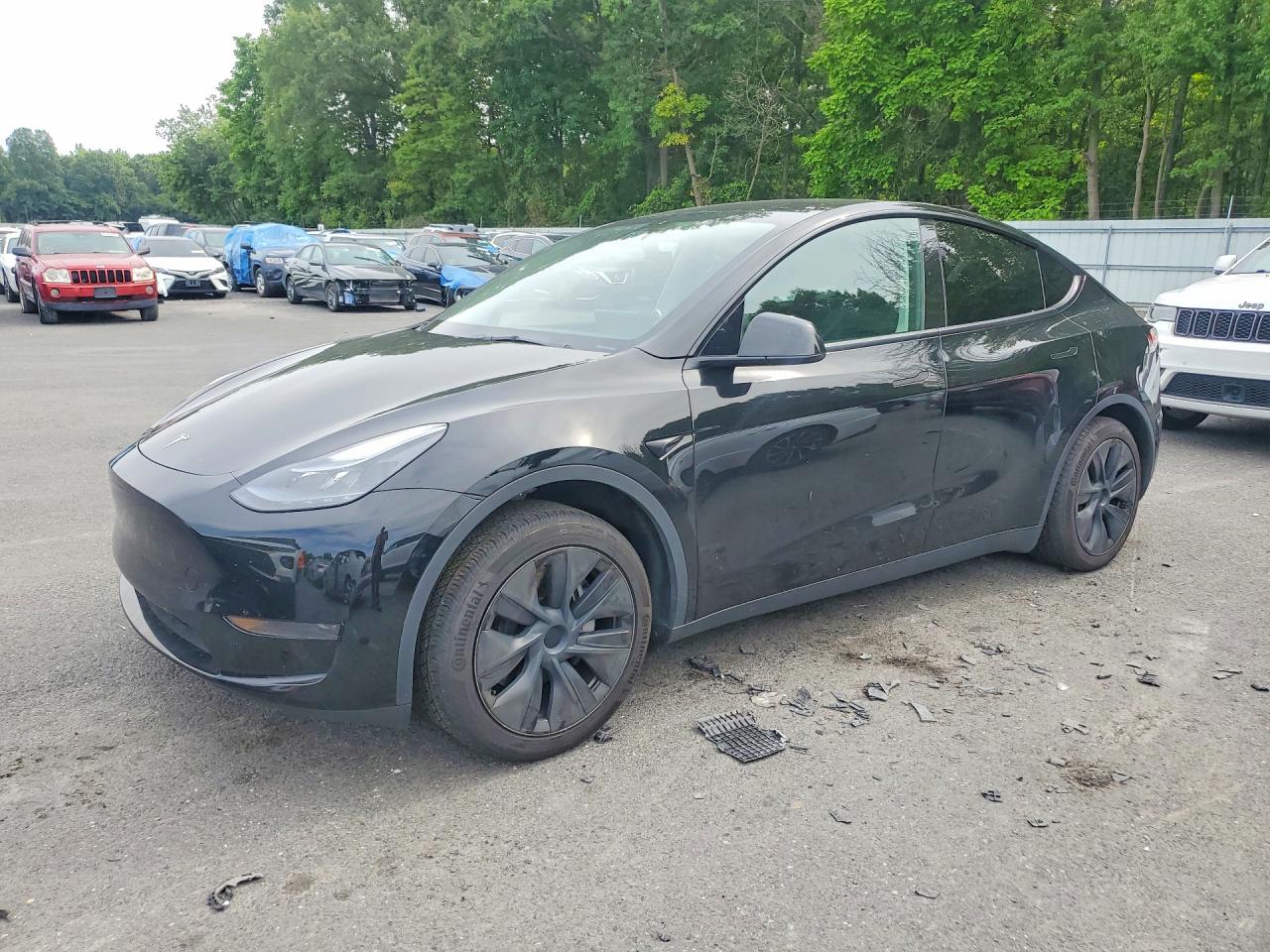 2024 TESLA MODEL Y | 7SAYGDED9RF156539 | UPCARS