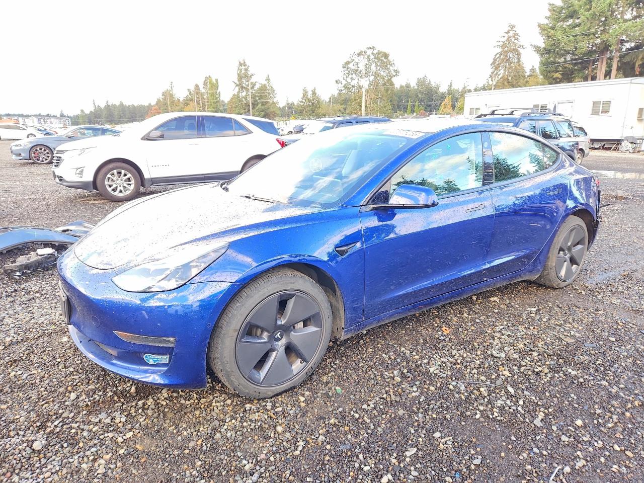 2021 TESLA MODEL 3 | 5YJ3E1EB9MF003680 | UPCARS