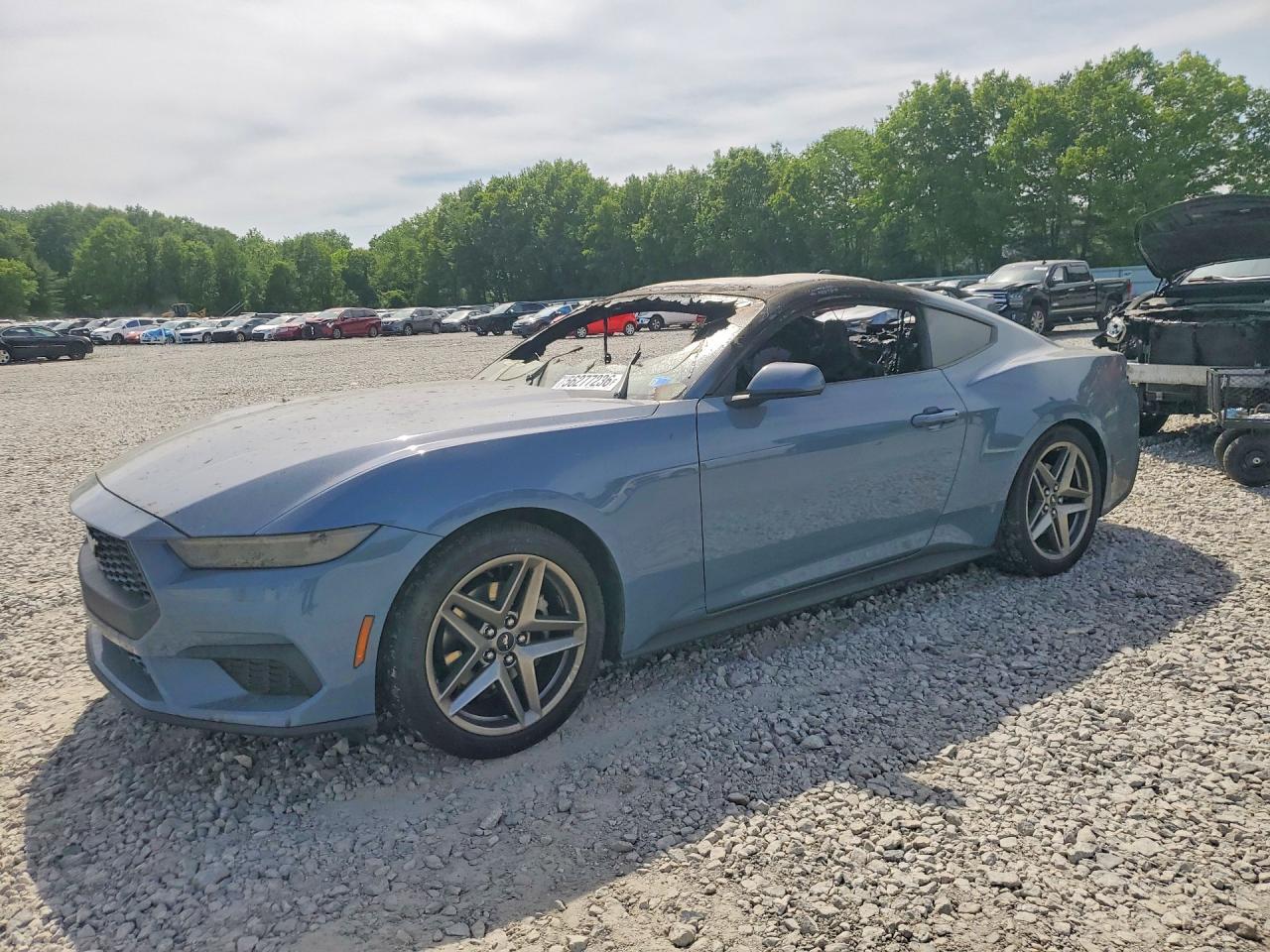 2025 FORD MUSTANG | 1FA6P8THXS5131972 | UPCARS