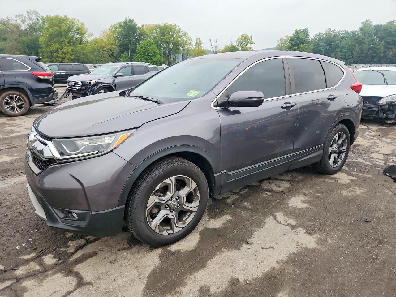 2019 HONDA CRV EX | 2HKRW2H51KH651015 | UPCARS