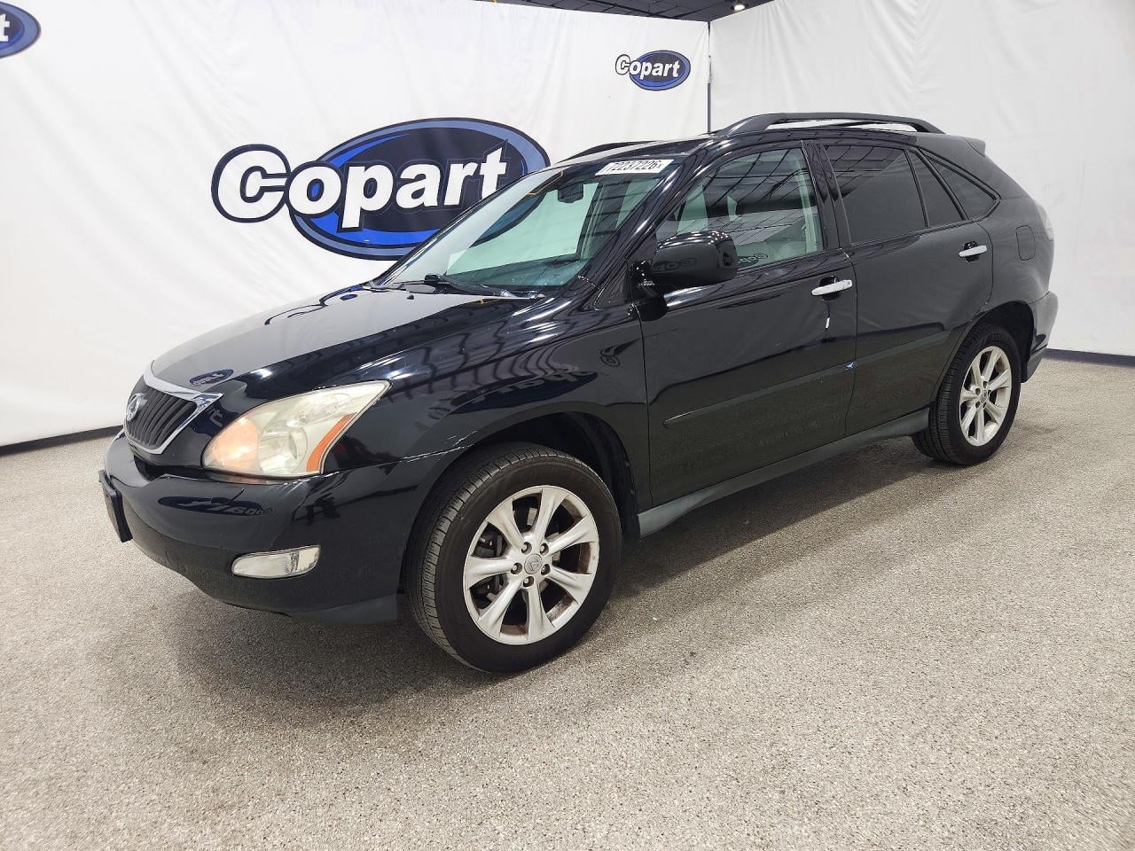 2009 LEXUS RX 350 | 2T2GK31U19C060136 | UPCARS