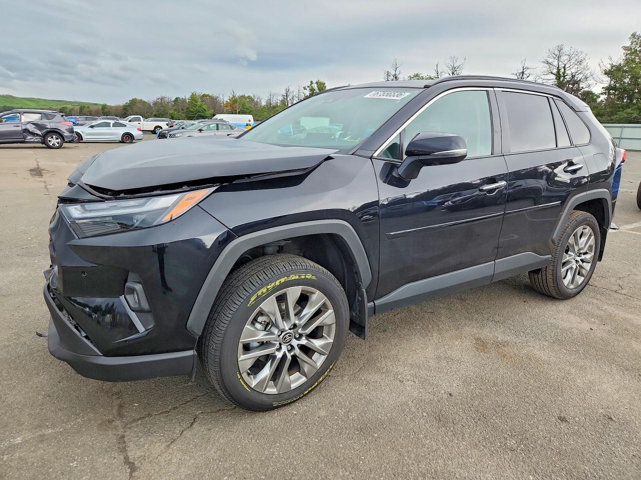 2025 TOYOTA RAV4 LIMITED | 2T3N1RFV8SW526143 | UPCARS