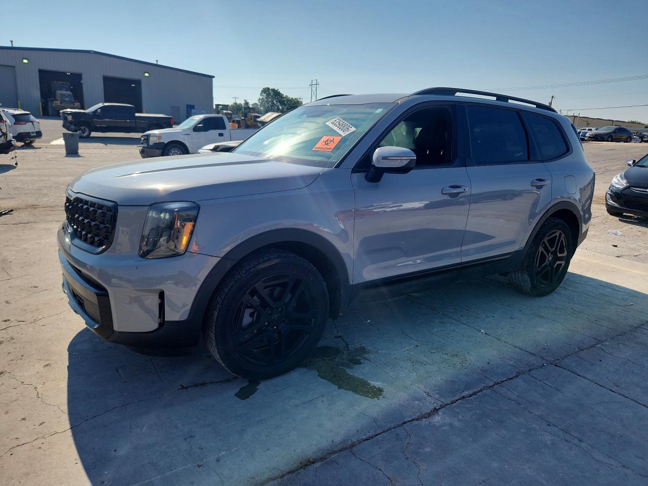 2025 KIA TELLURID EX X-LINE | 5XYP3DGC7SG620807 | UPCARS