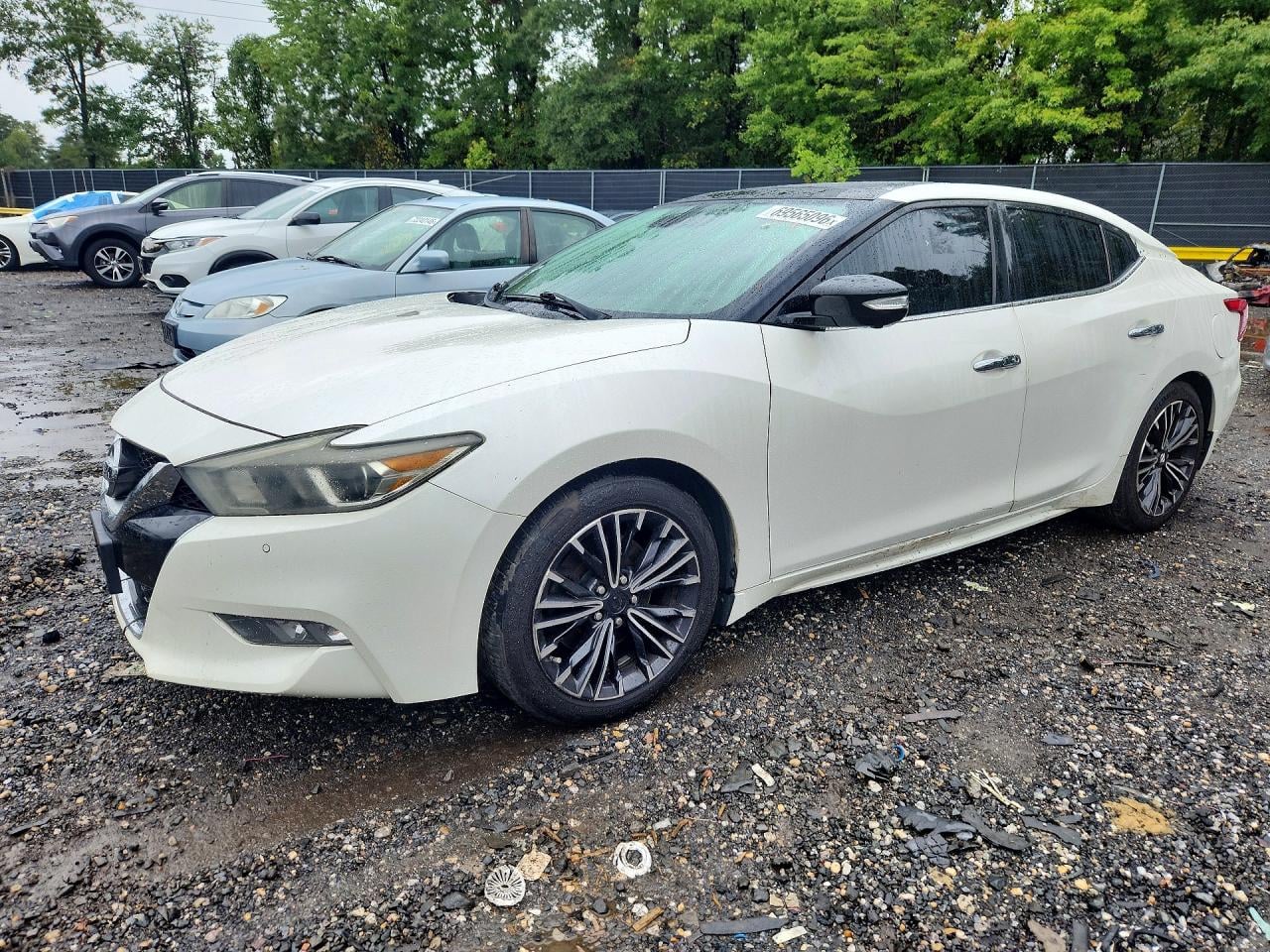 2016 NISSAN MAXIMA PLATINUM | 1N4AA6AP2GC403637 | UPCARS