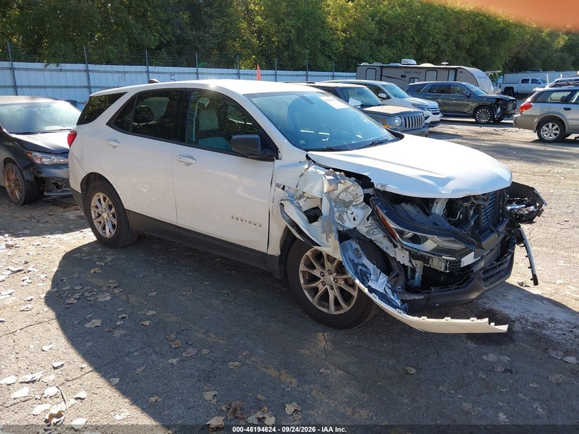 2019 CHEVROLET EQUINOX LS | 3GNAXSEV9KS631655 | UPCARS