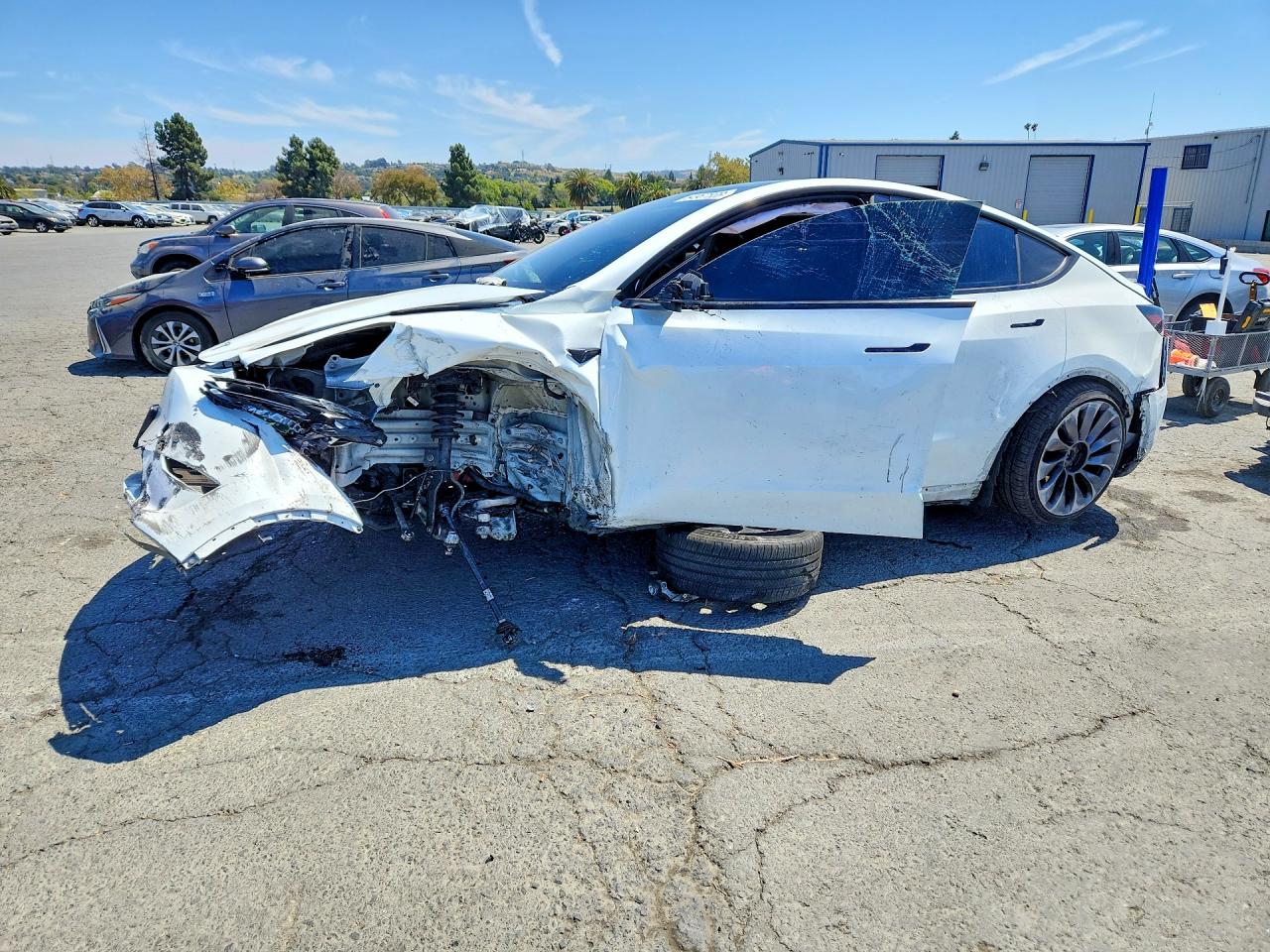 2023 TESLA MODEL Y | 7SAYGDEF9PF922011 | UPCARS