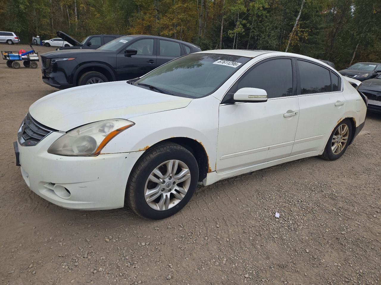 2010 NISSAN ALTIMA | 1N4AL2AP8AC103529 | UPCARS