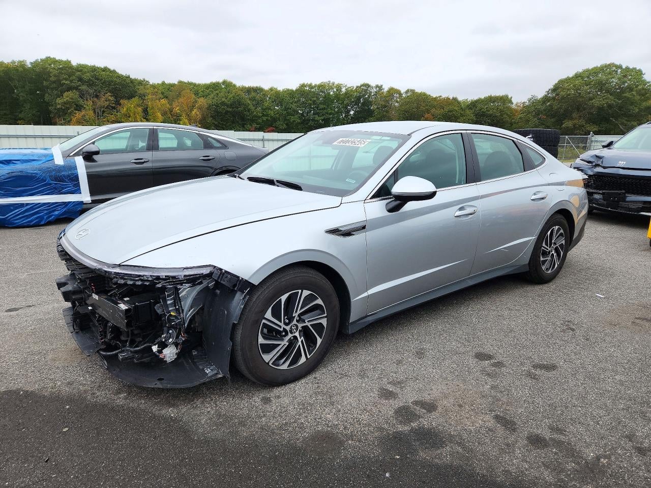 2026 HYUNDAI SONATA BLUE | KMHL24JJ9TA141665 | UPCARS