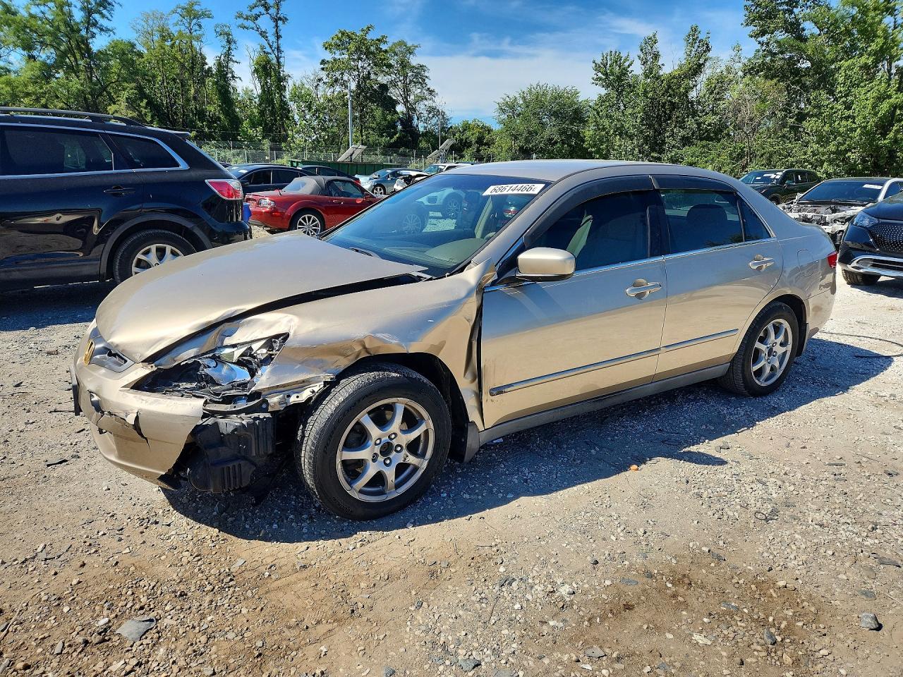 2005 HONDA ACCORD LX | 1HGCM66375A044828 | UPCARS