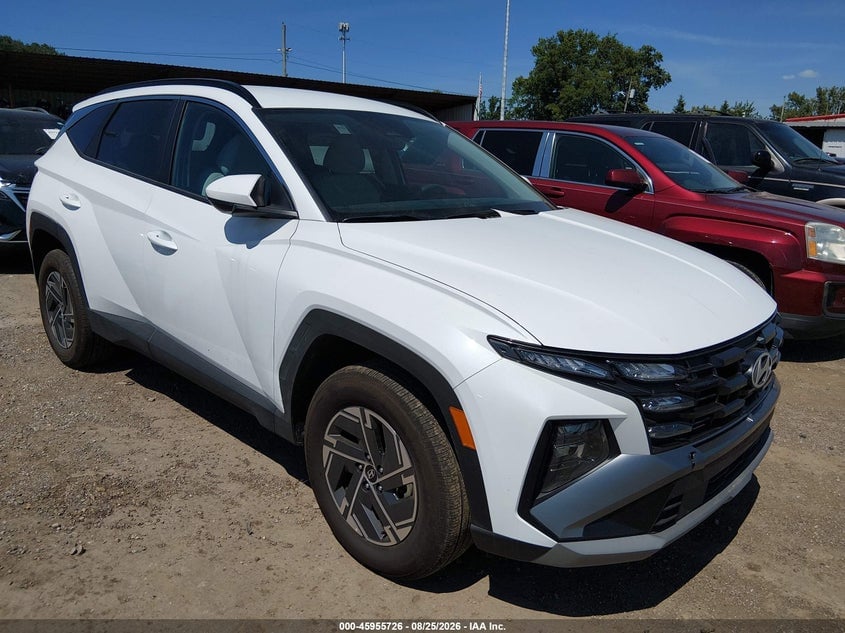 2025 HYUNDAI TUCSON HYBRID BLUE | KM8JBDD15SU393333 | UPCARS
