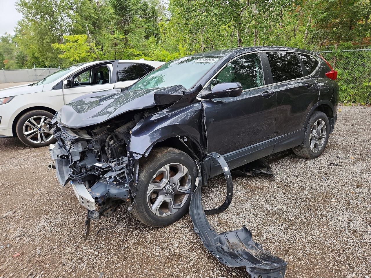 2019 HONDA CRV EX | 2HKRW2H53KH148568 | UPCARS