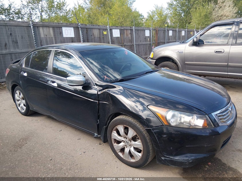 2010 HONDA ACCORD 2.4 EX-L | 1HGCP2F81AA156370 | UPCARS