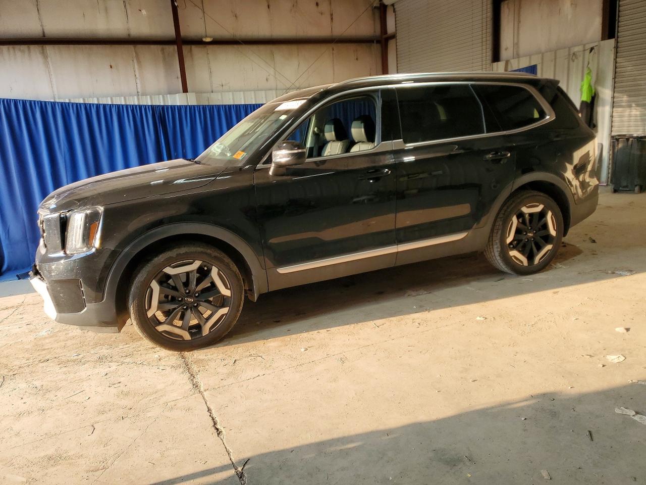 2025 KIA TELLURID EX | 5XYP3DGC7SG650096 | UPCARS