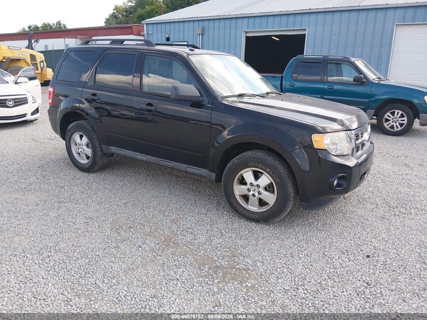 2010 FORD ESCAPE XLT | 1FMCU9DG3AKA30902 | UPCARS