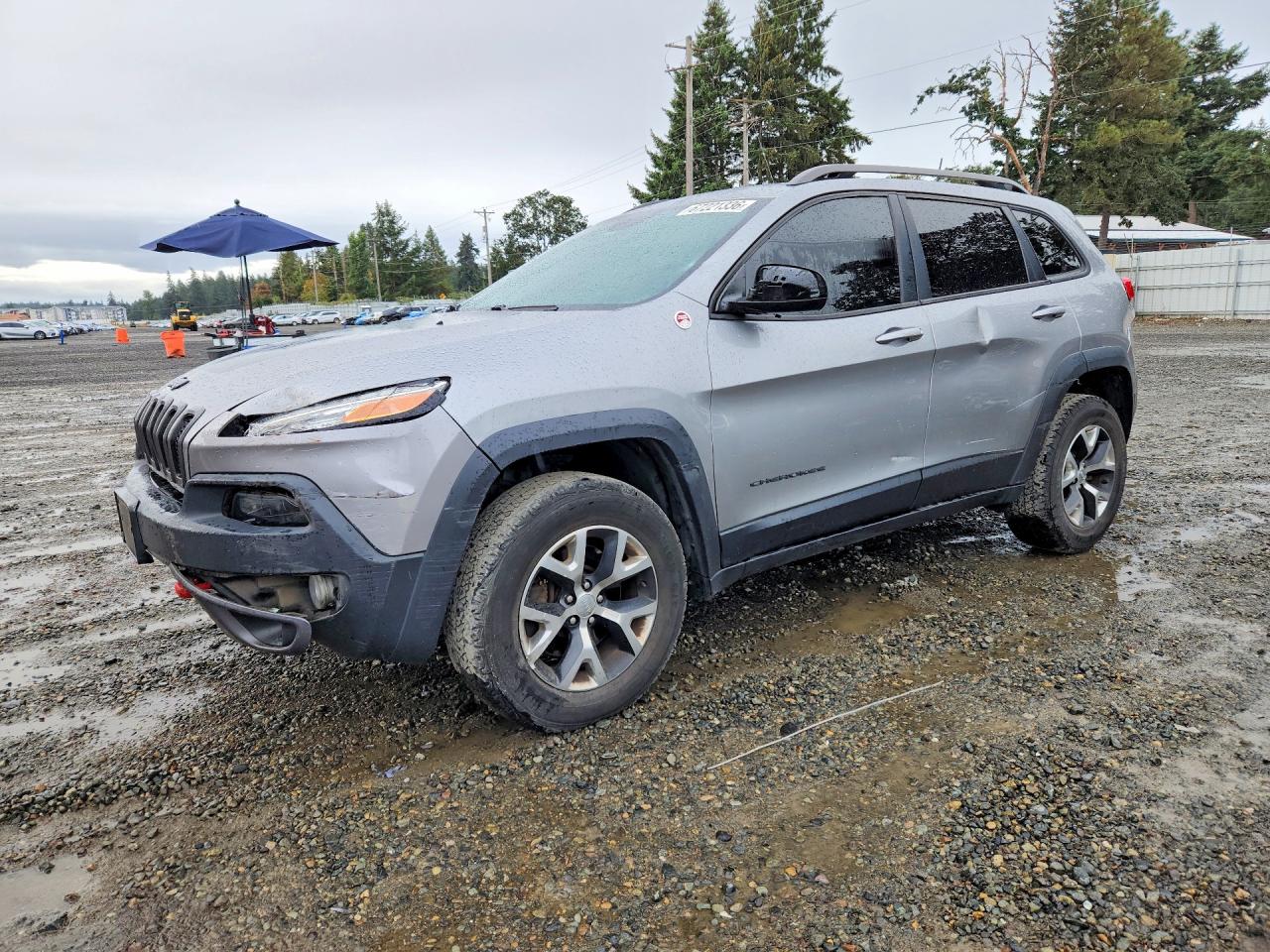 2016 JEEP CHEROKEE TRAILHAWK | 1C4PJMBS8GW256217 | UPCARS