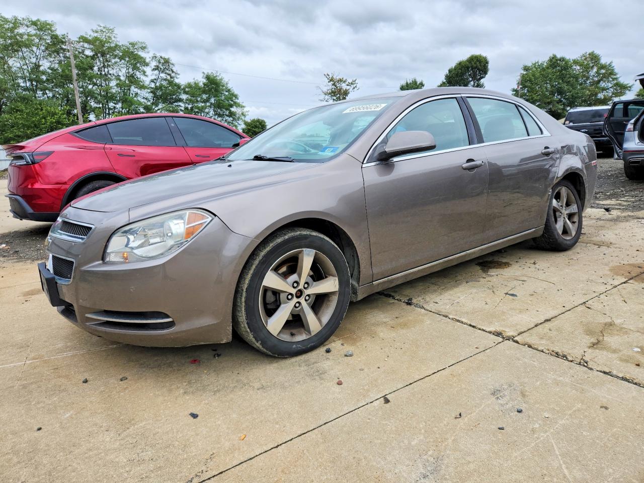 2011 CHEVROLET MALIBU 1LT | 1G1ZC5E11BF141844 | UPCARS