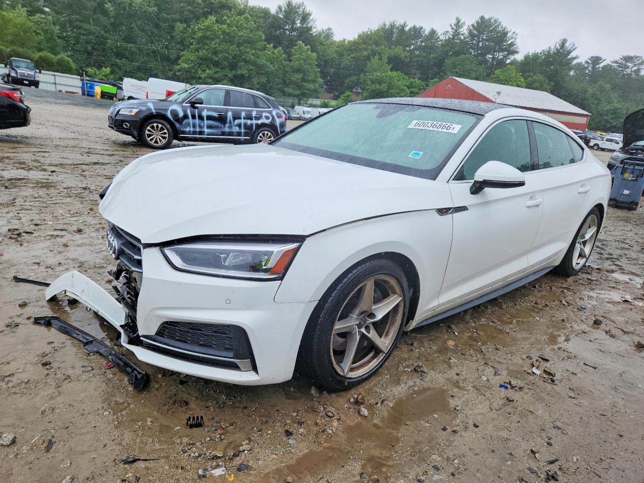 2019 AUDI A5 PREMIUM PLUS S-LINE | WAUENCF59KA008586 | UPCARS