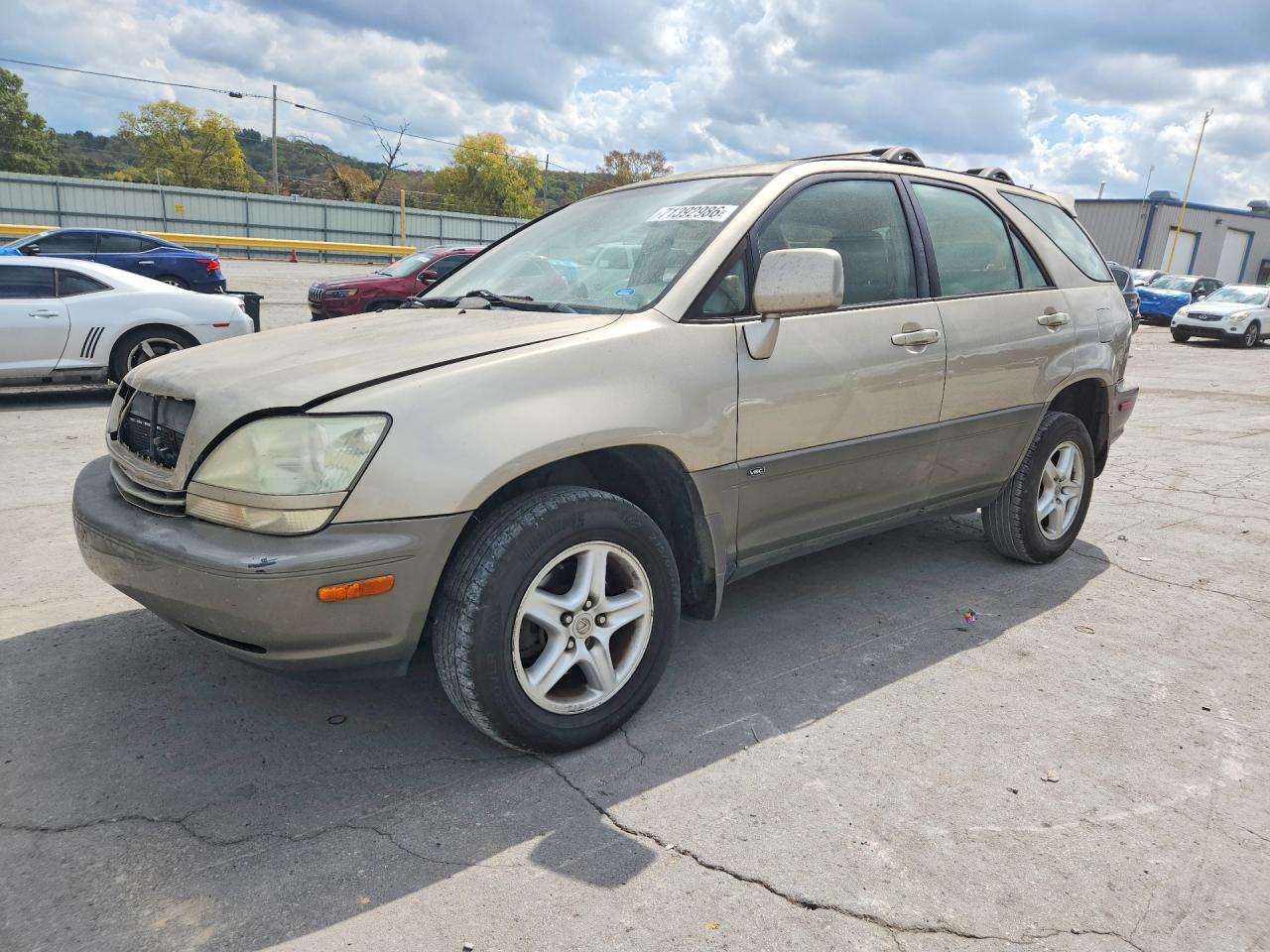 2001 LEXUS RX 300 | JTJGF10U310104468 | UPCARS
