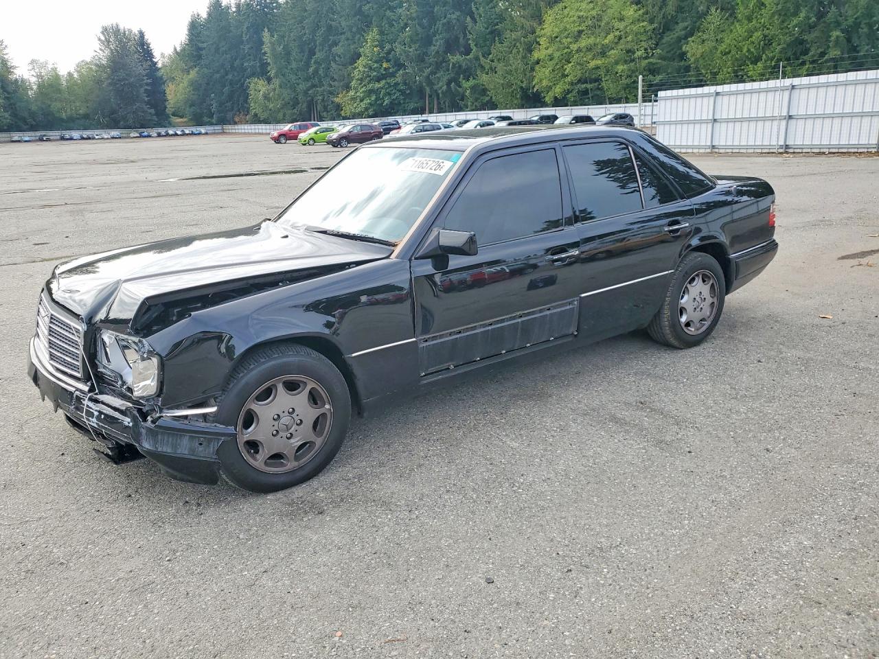1995 MERCEDES-BENZ E-CLASS 420 BASE | WDBEA34E0SC193518 | UPCARS