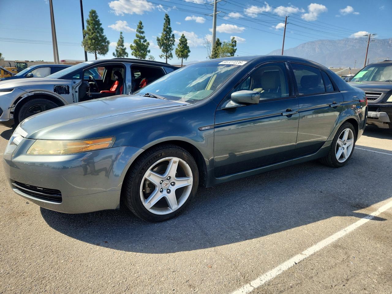 2005 ACURA TL | 19UUA66245A043320 | UPCARS