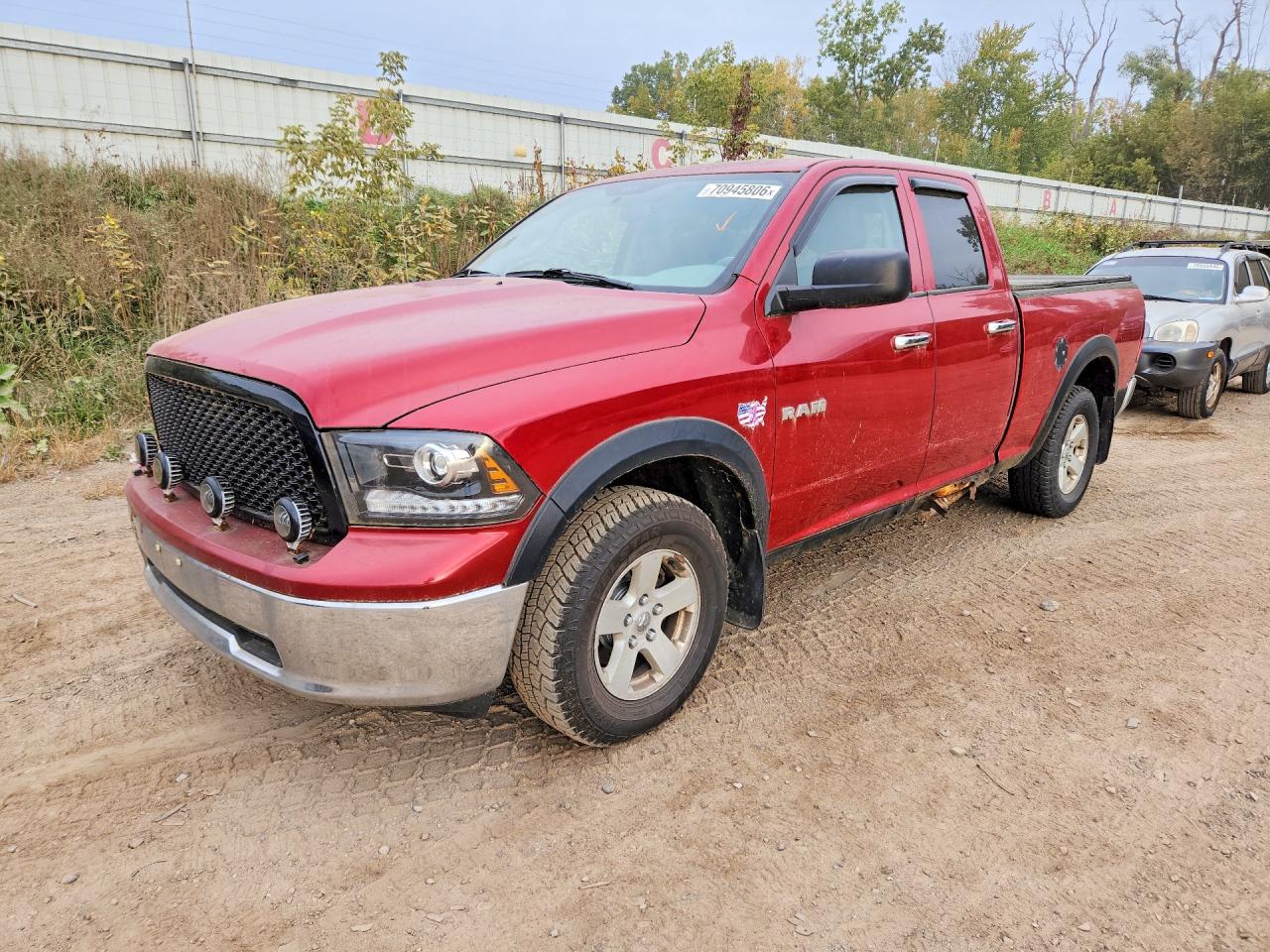 2010 DODGE RAM 1500 | 1D7RV1GT4AS118739 | UPCARS