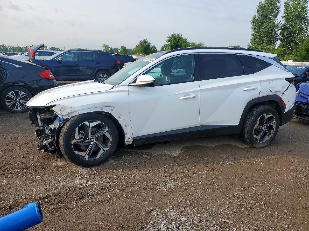 2022 HYUNDAI TUCSON LUXURY | KM8JCCA18NU060981 | UPCARS
