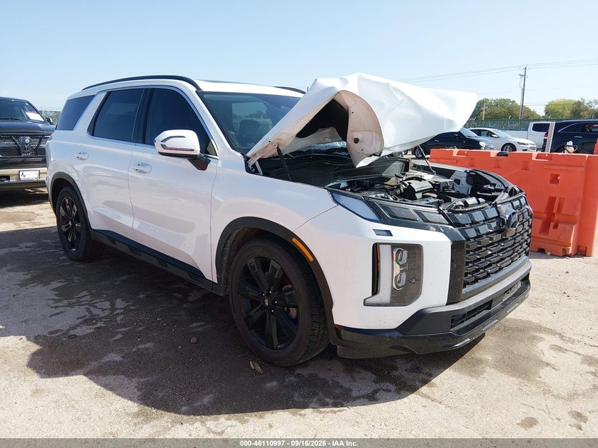2024 HYUNDAI PALISADE XRT | KM8R3DGEXRU714582 | UPCARS