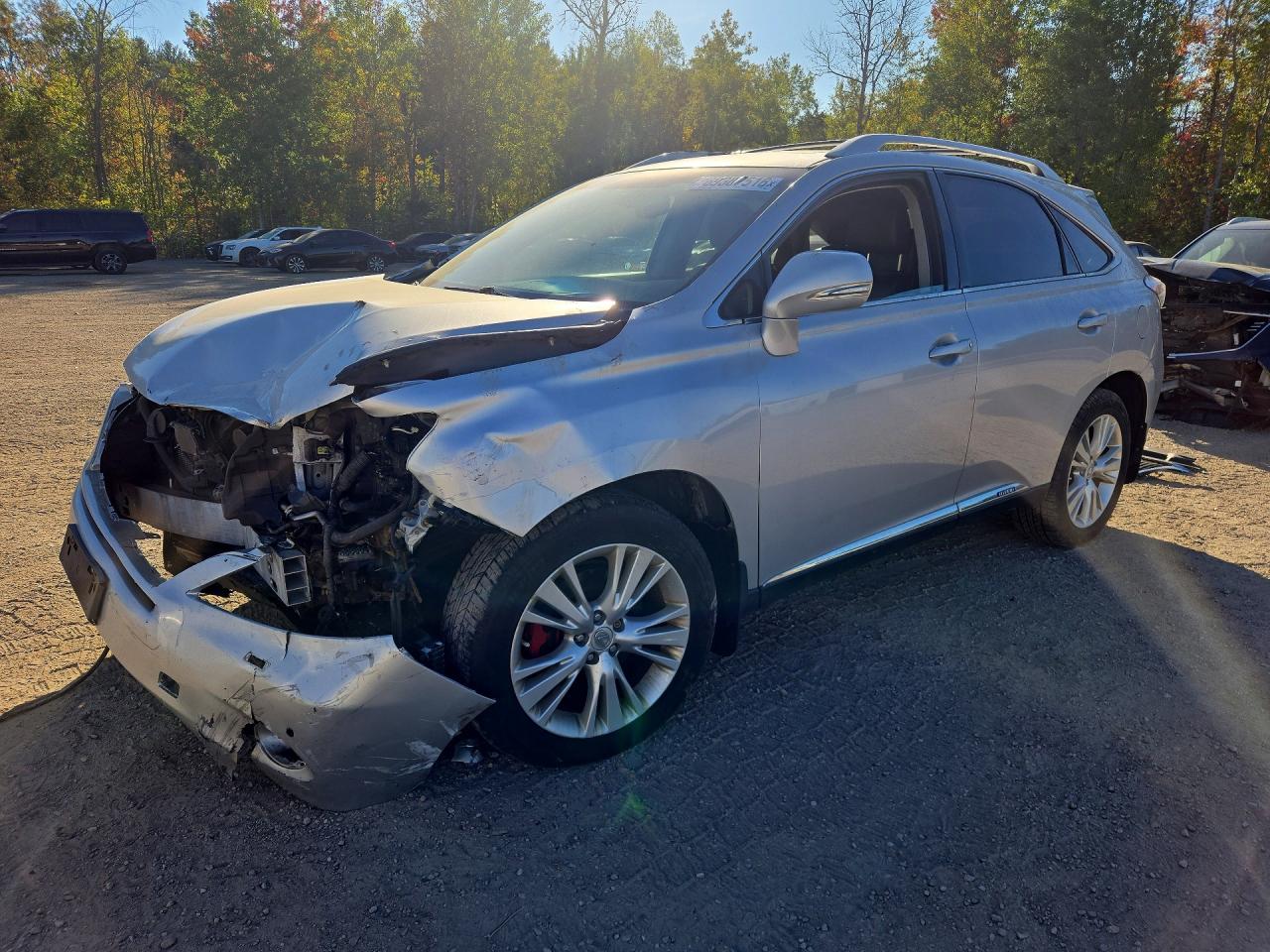 2010 LEXUS RX 450H | JTJBC1BA9A2020794 | UPCARS