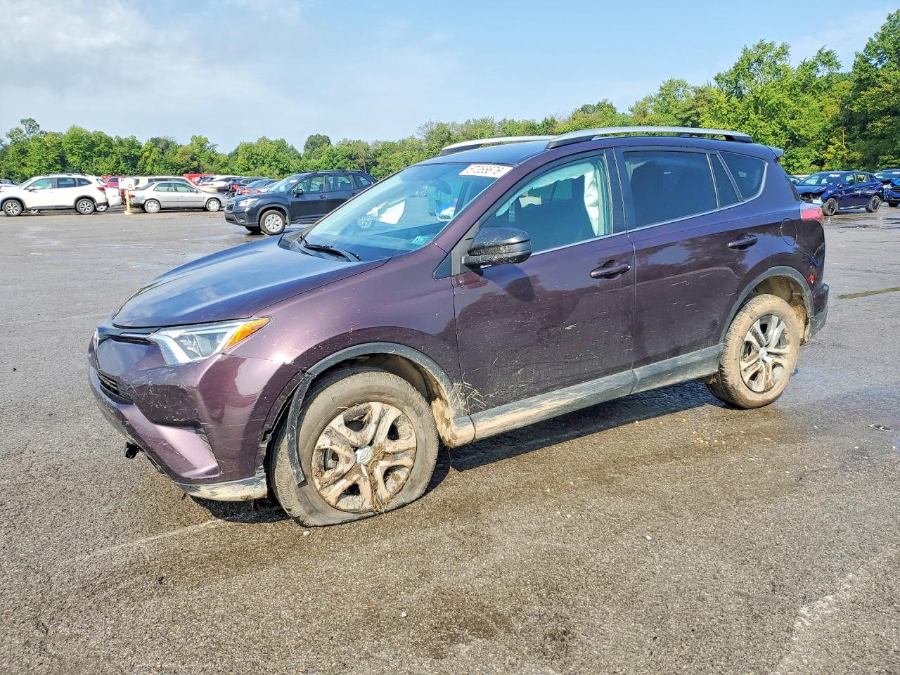 2016 TOYOTA RAV4 XLE | 2T3BFREV3GW500191 | UPCARS