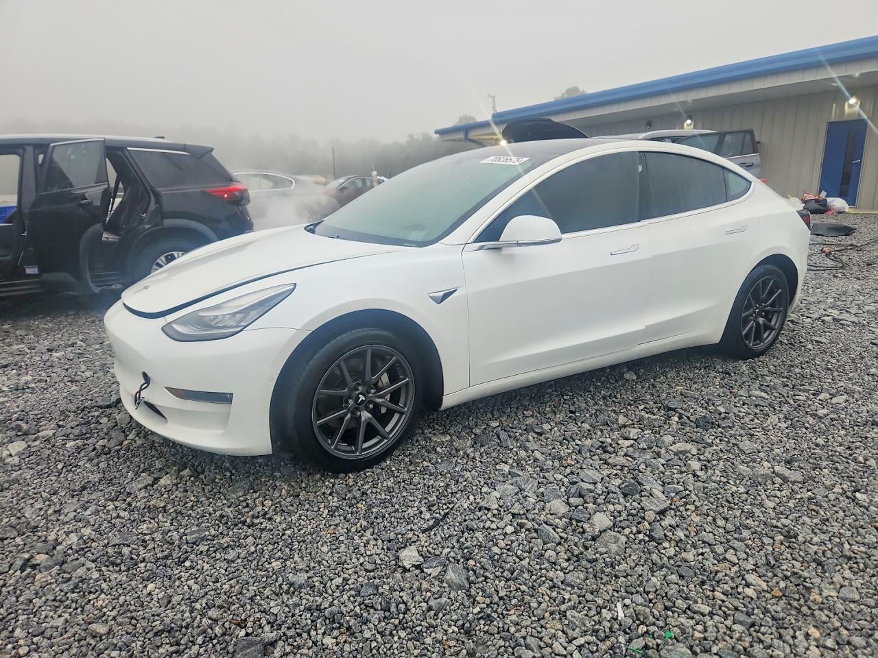 2019 TESLA MODEL 3 | 5YJ3E1EA0KF407617 | UPCARS