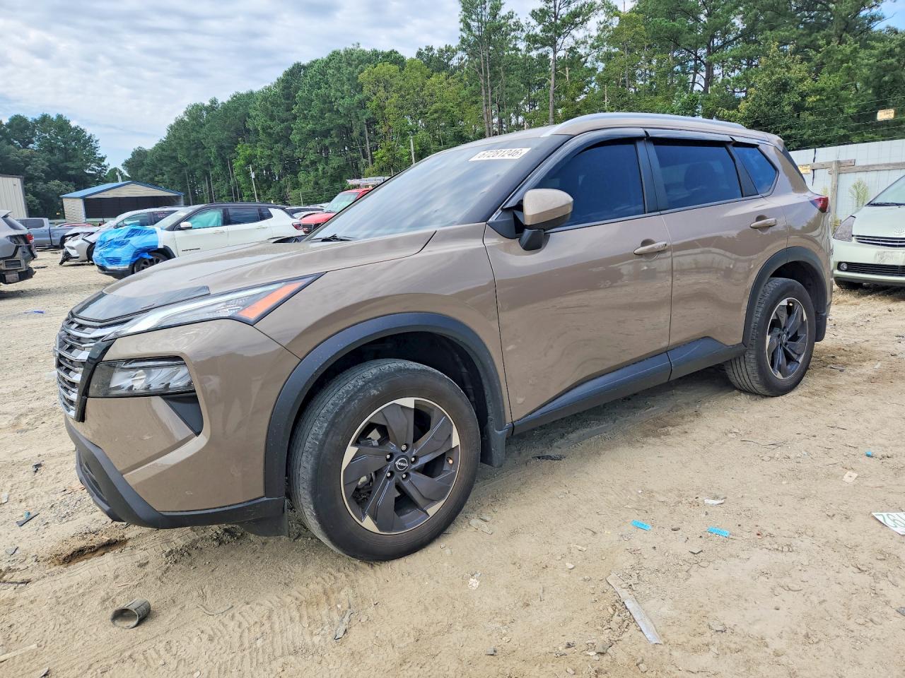 2025 NISSAN ROGUE SV | JN8BT3BB8SW161300 | UPCARS