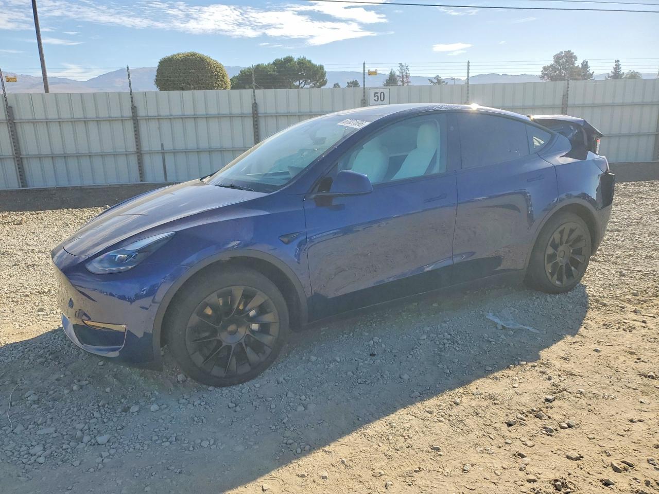 2024 TESLA MODEL Y | 7SAYGDEE5RF004377 | UPCARS