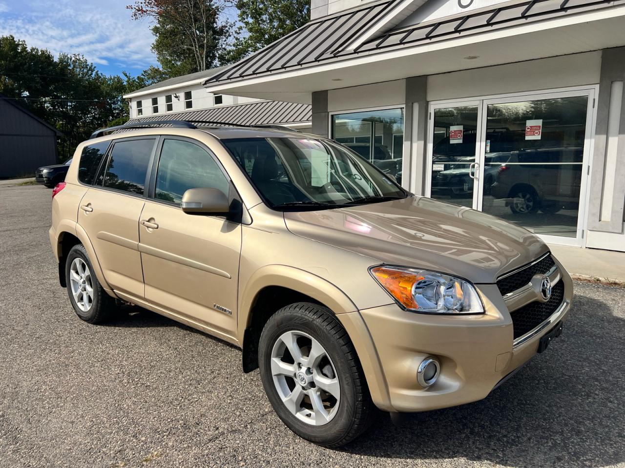 2010 TOYOTA RAV4 LIMITED | 2T3DF4DV7AW050789 | UPCARS