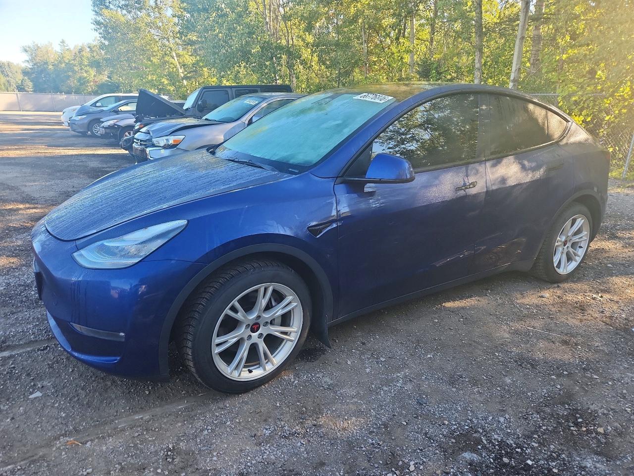 2021 TESLA MODEL Y | 5YJYGDEE4MF185557 | UPCARS