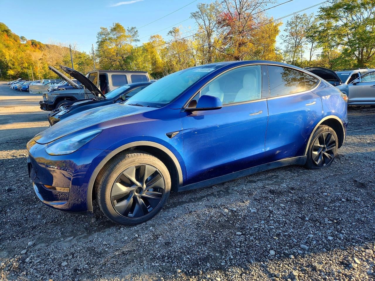 2025 TESLA MODEL Y | 7SAYGDED0SF232882 | UPCARS