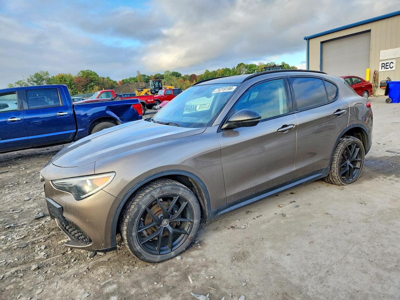 2019 ALFA ROMEO STELVIO | ZASPAKAN5K7C55925 | UPCARS