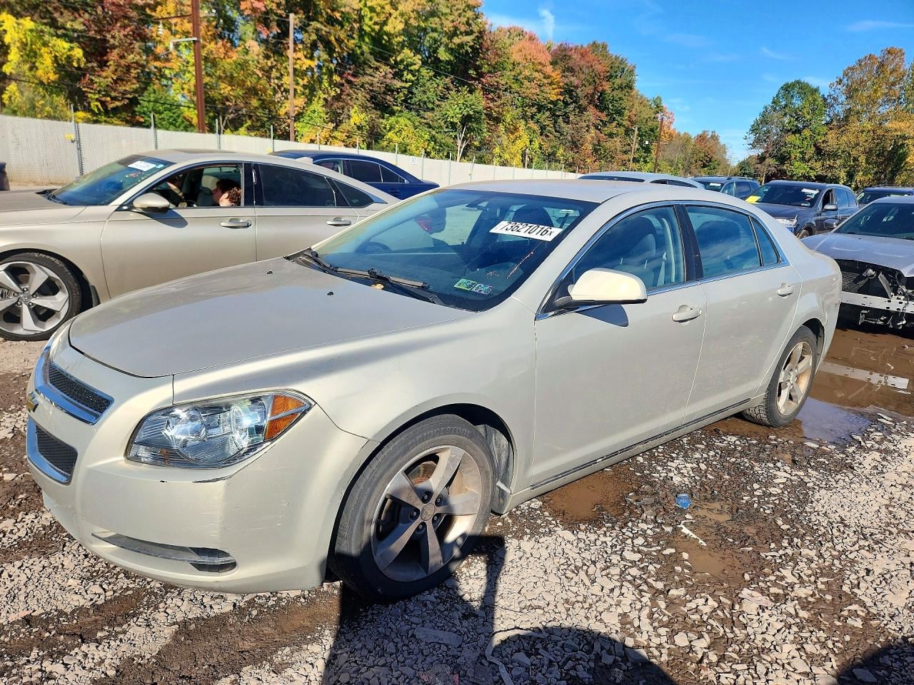 2011 CHEVROLET MALIBU 1LT | 1G1ZC5EU7BF148453 | UPCARS