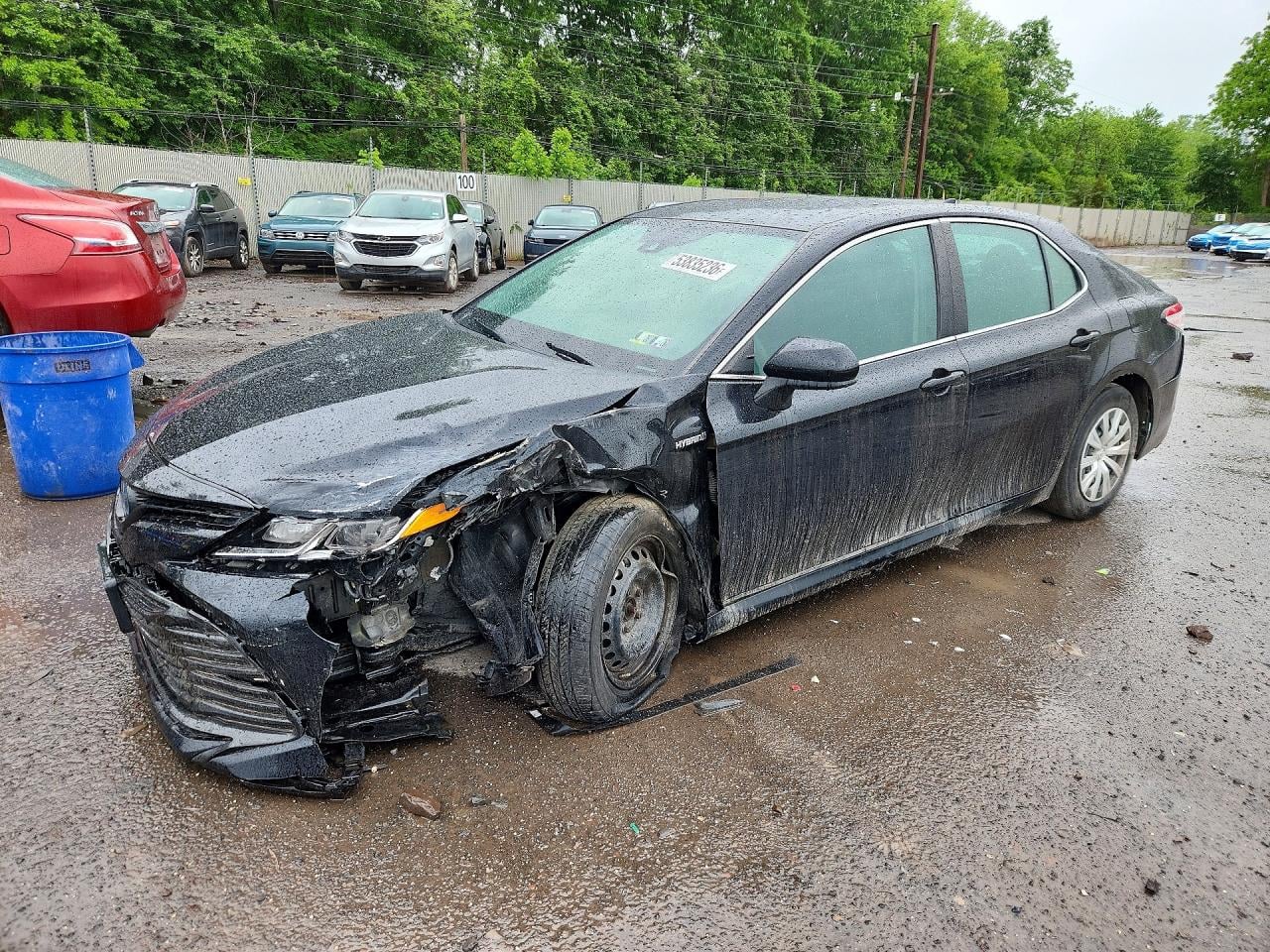 2019 TOYOTA CAMRY LE | 4T1B31HK7KU509151 | UPCARS