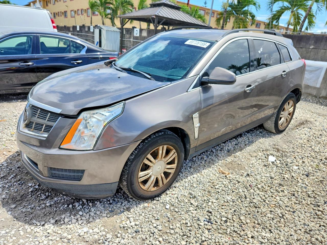 2011 CADILLAC SRX | 3GYFNGEY7BS650176 | UPCARS