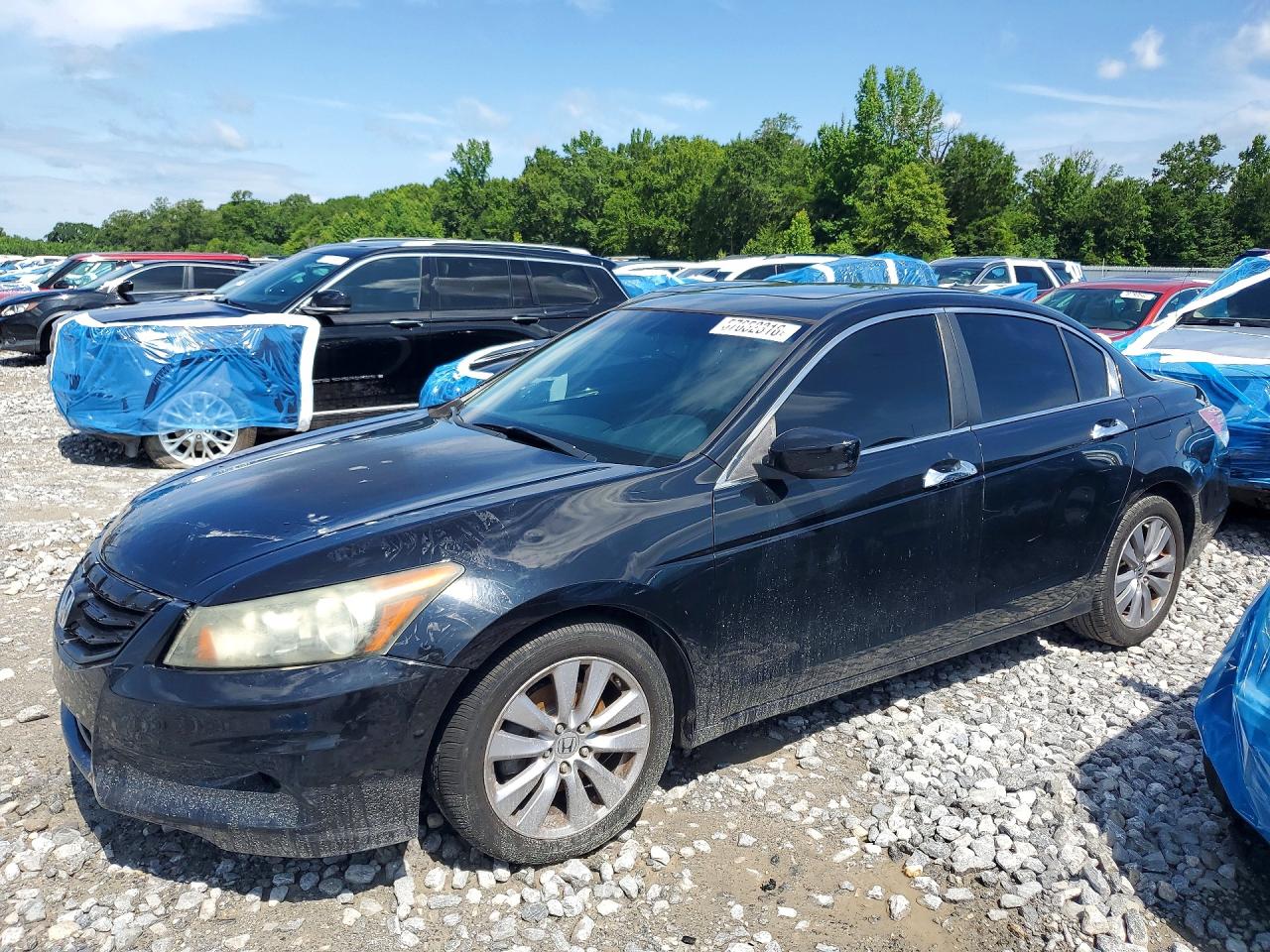 2011 HONDA ACCORD EXL | 1HGCP3F84BA015879 | UPCARS