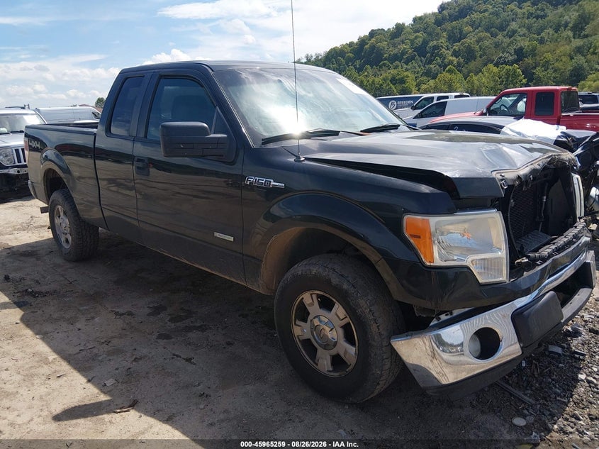 2012 FORD F-150 XLT | 1FTFX1ET9CFA91303 | UPCARS