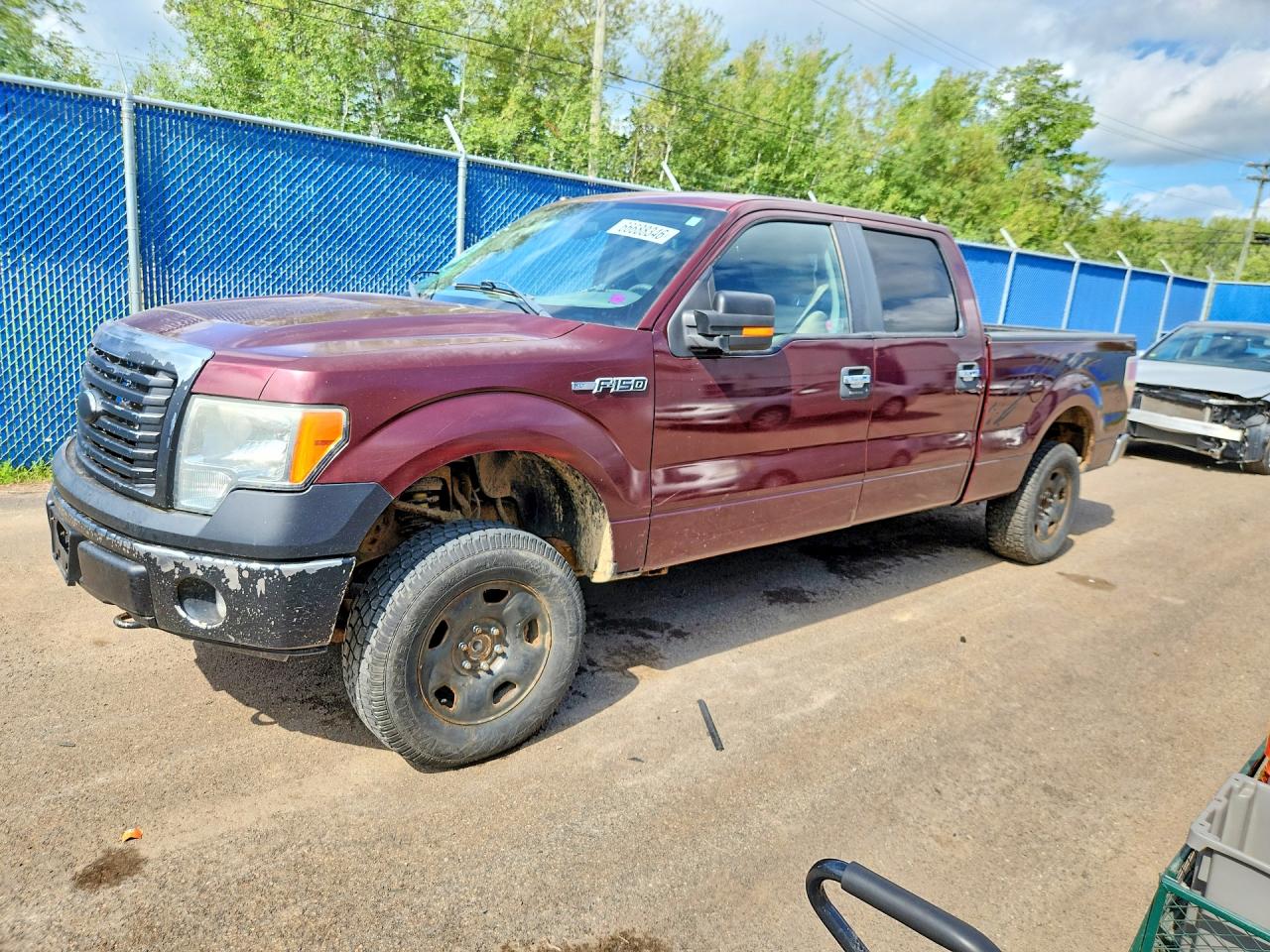 2010 FORD F150 SUPERCREW | 1FTFW1E85AFB63982 | UPCARS