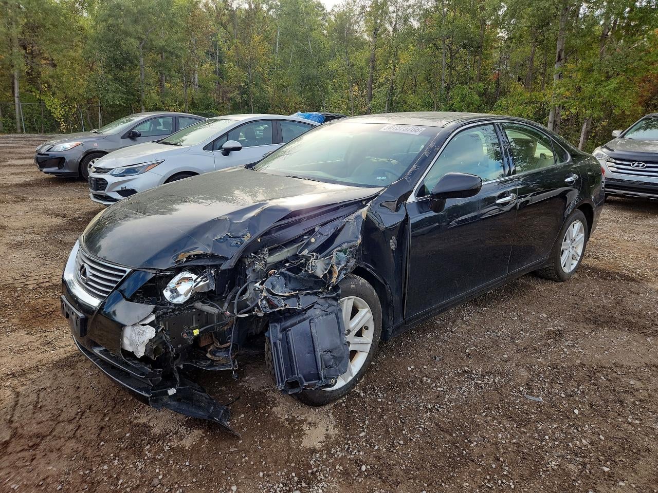 2009 LEXUS ES 350 | JTHBJ46G892311449 | UPCARS