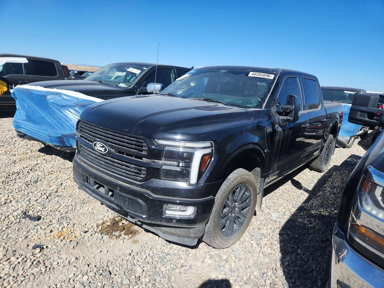 2025 FORD F150 PLATINUM | 1FTFW7LD1SFA24601 | UPCARS