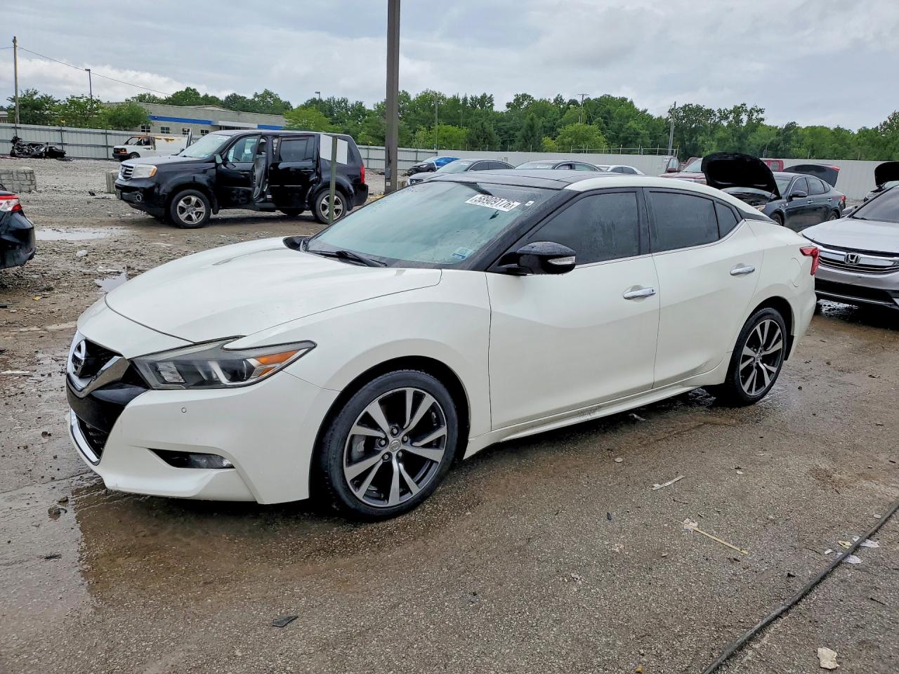 2017 NISSAN MAXIMA 3.5 SL | 1N4AA6AP0HC440946 | UPCARS
