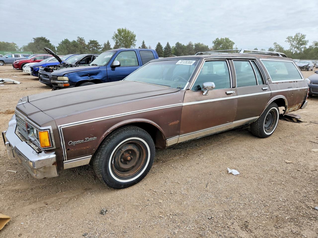 1983 CHEVROLET CAPRICE CLASSIC | 2G1AN35H5D1166085 | UPCARS