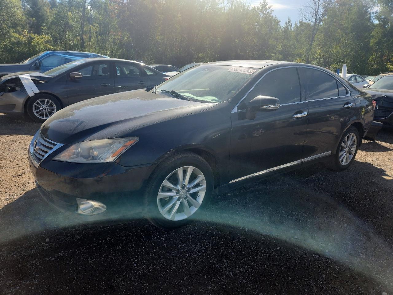 2010 LEXUS ES 350 | JTHBK1EG8A2361186 | UPCARS