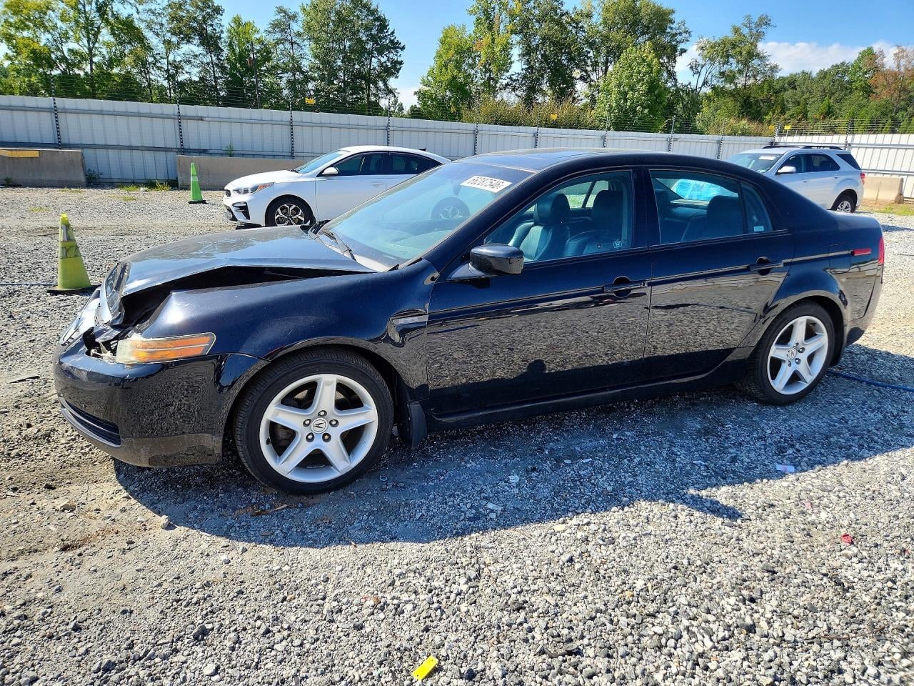 2005 ACURA TL | 19UUA66245A071022 | UPCARS